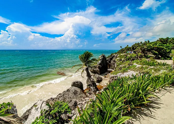 Hotel La Selva 303 Sirenis Akumal